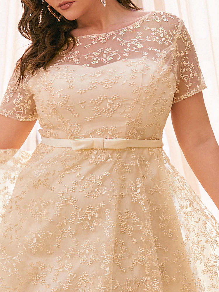 Embroidered Ditsy Floral Lace Mesh Dress