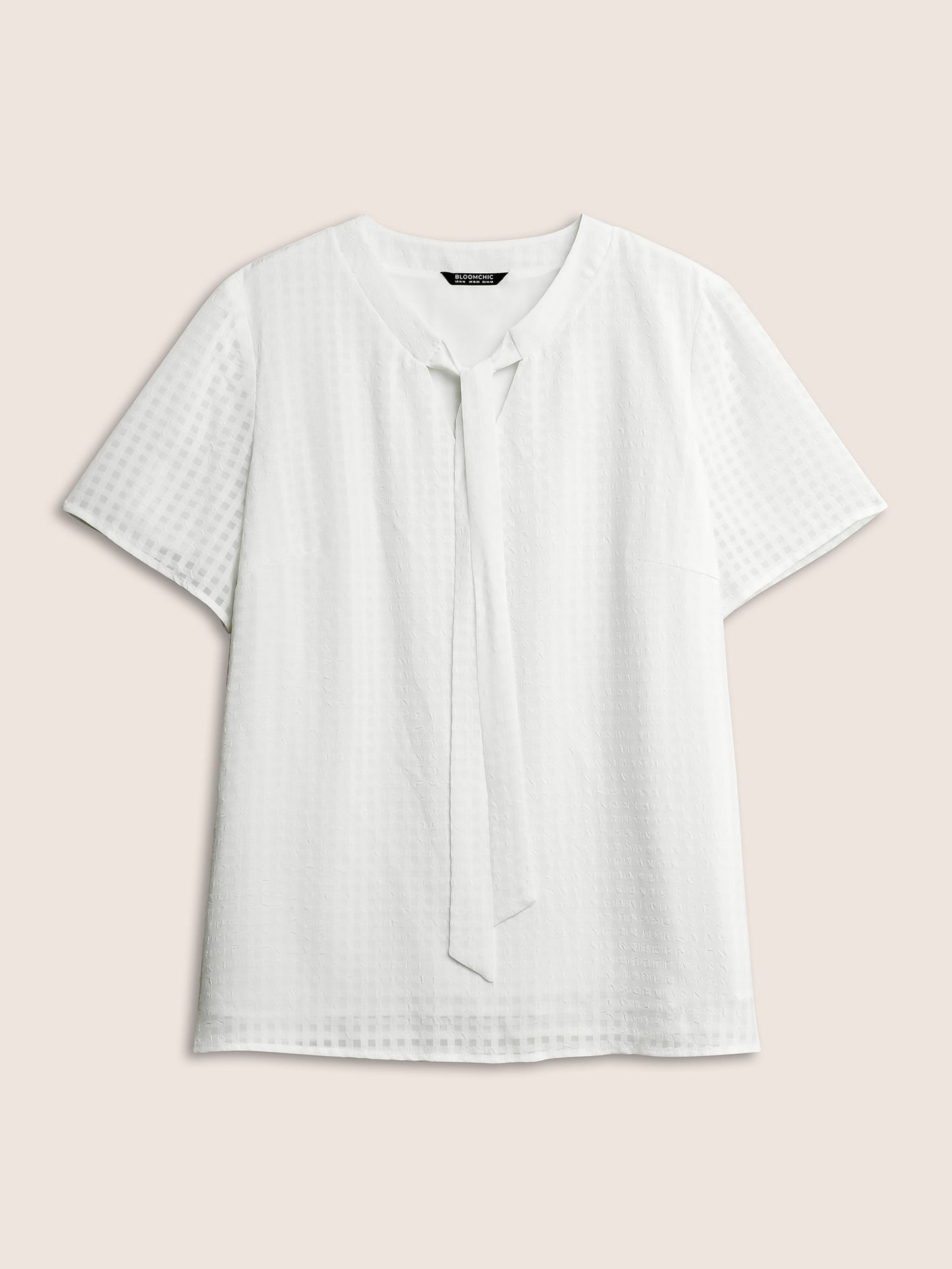 Solid Textured Chiffon Mesh Tie Neck Blouse