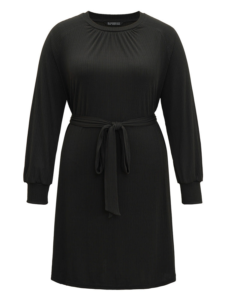 Rib Knit Solid Pocket Pleated Belted Dress