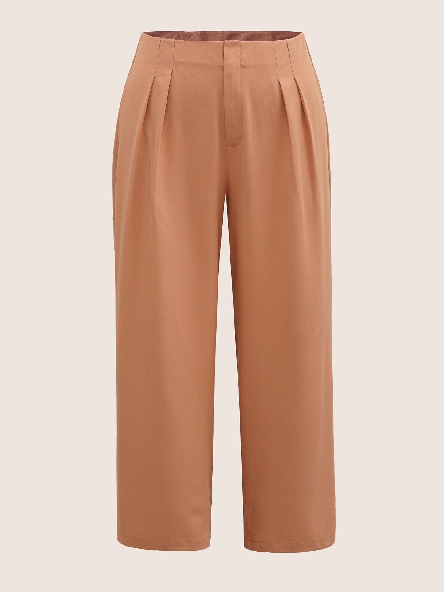 Plain Zipper Fly Pleated Wide Leg Pants