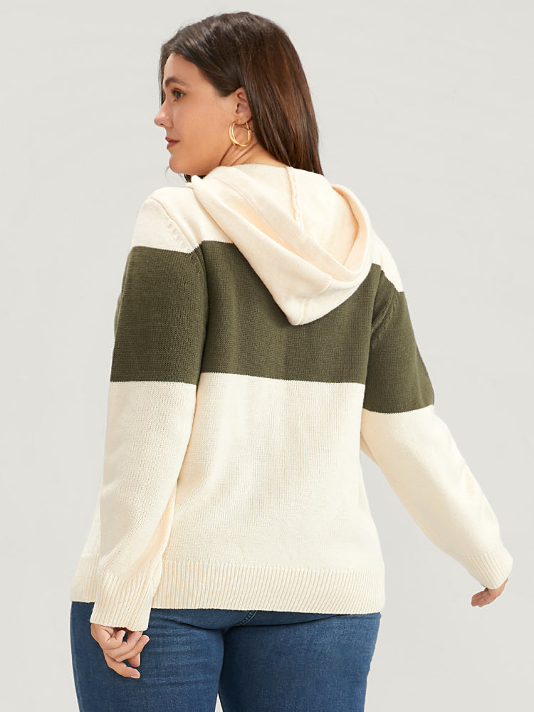 Colorblock Contrast Pointelle Knit Drawstring Hooded Knit Top