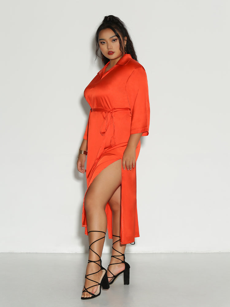 Knotted Lapel Collar Dress