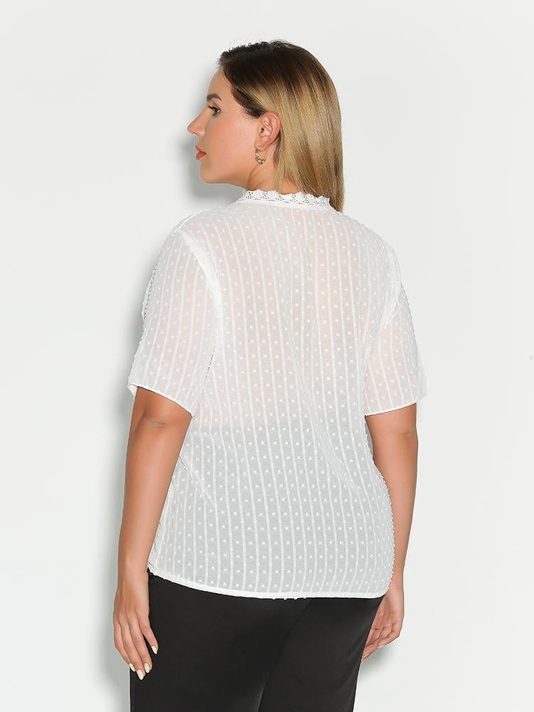 Lace Trim See Through Blouse