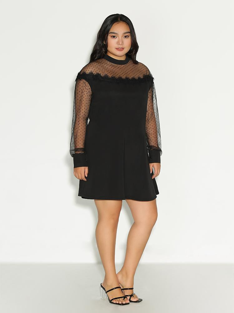 Lace Dot Frill Trim Dress
