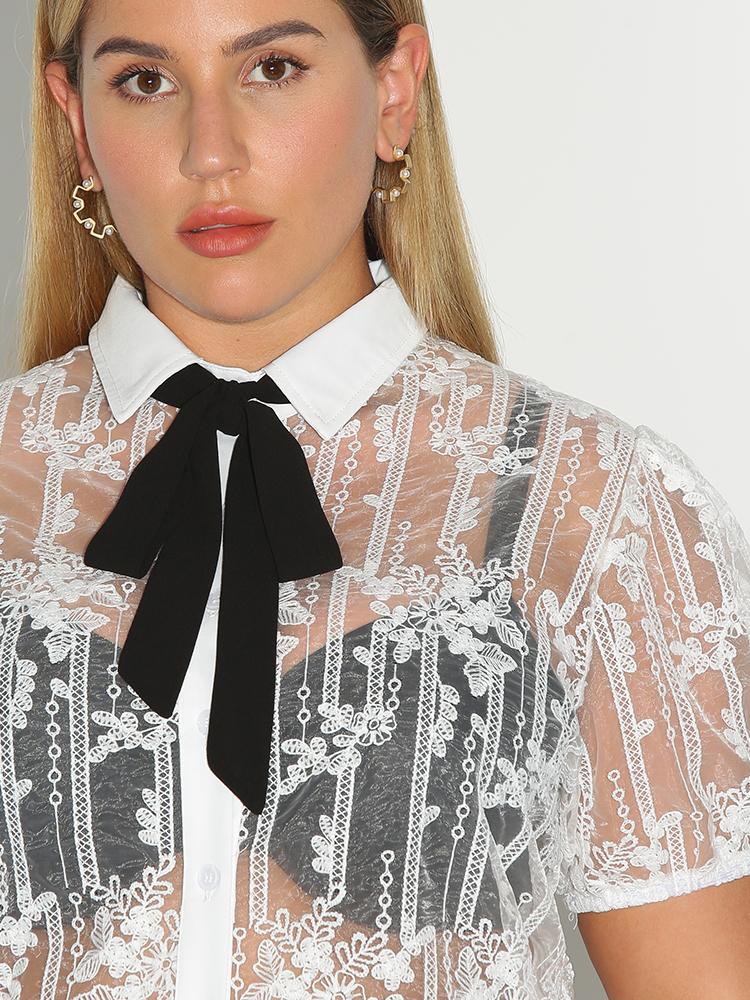 See Through Bow Tie Blouse