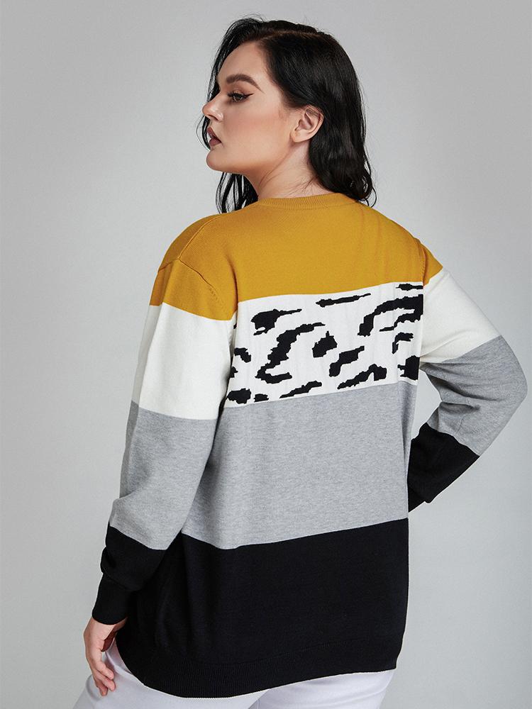 Contrast Striped Crew Neck Sweater