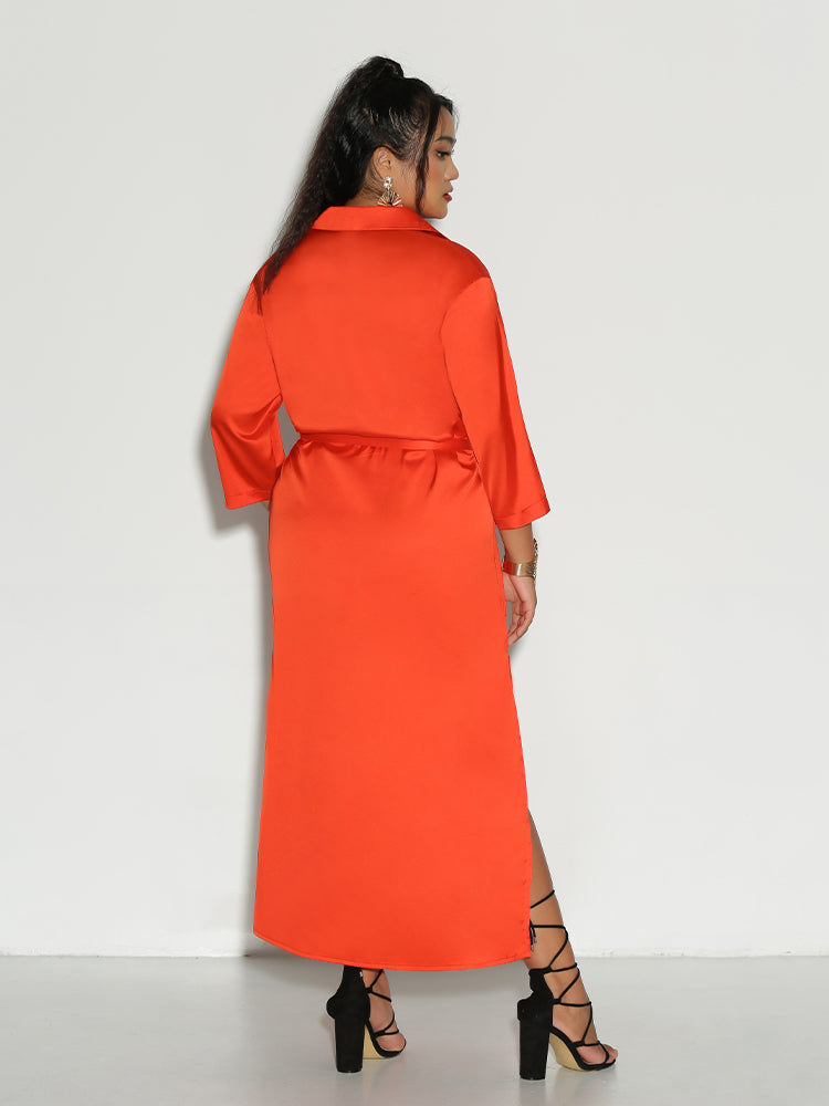 Knotted Lapel Collar Dress