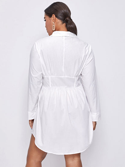 Shawl Collar Curved Hem Shirt Dress