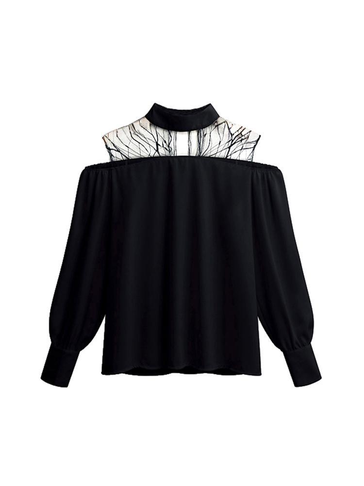 Mesh Patchwork Lantern Sleeve Blouse