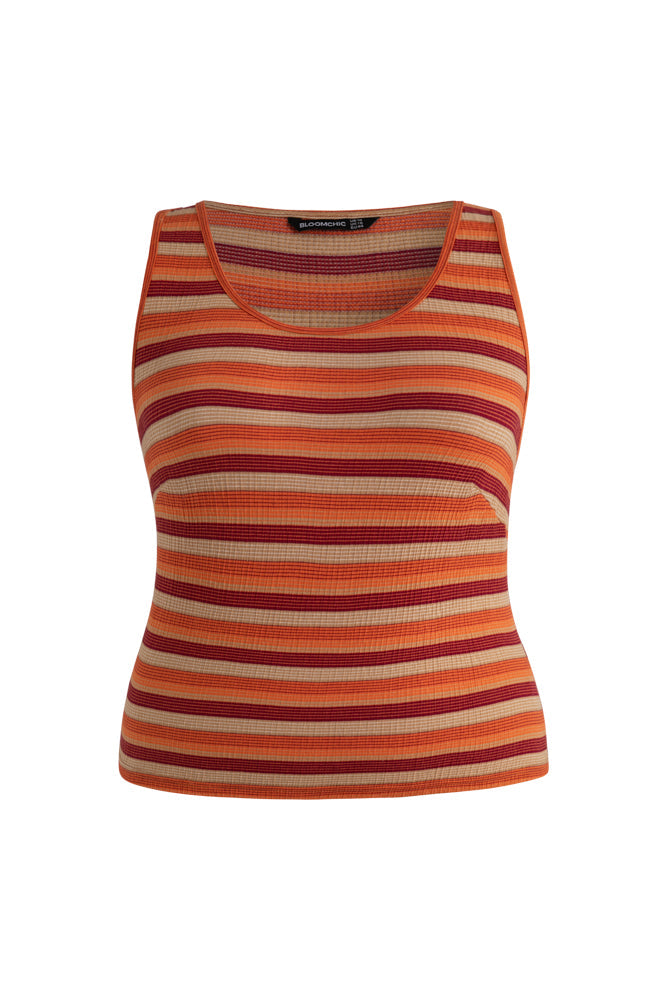 Striped Color Block Tank Top