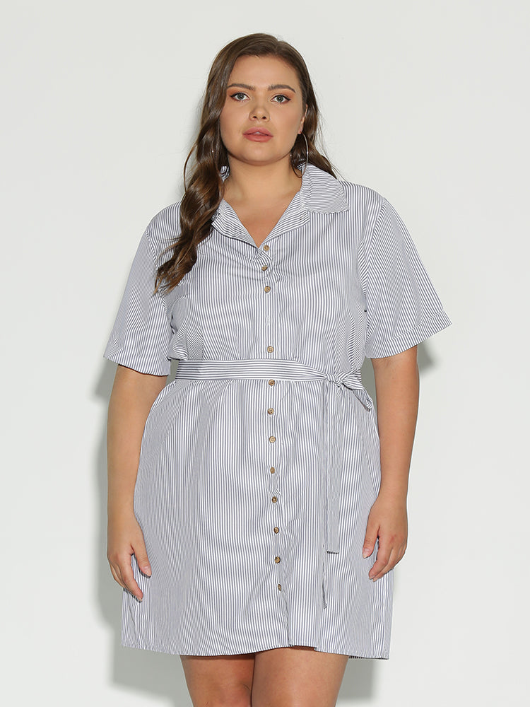 Button Collar Lapel Dress