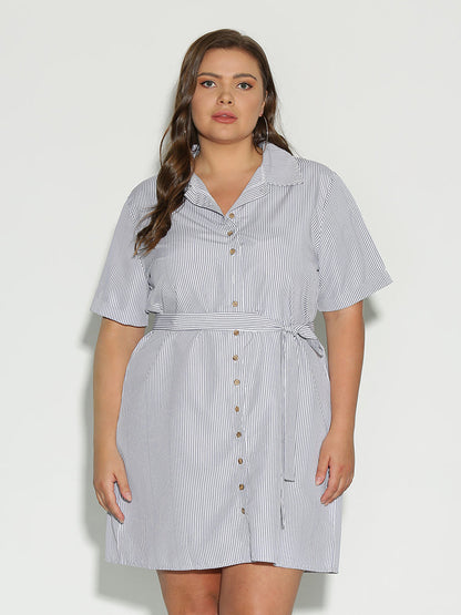 Button Collar Lapel Dress