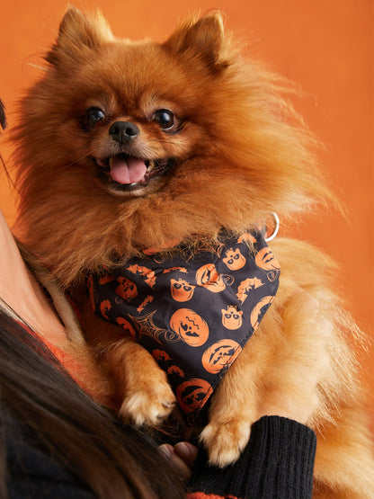 e8a4eb59-a4ab-4ad1-ad90-ec537a210241