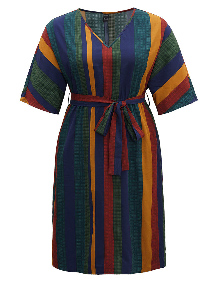 Colour Striped Contrast Belted Dress