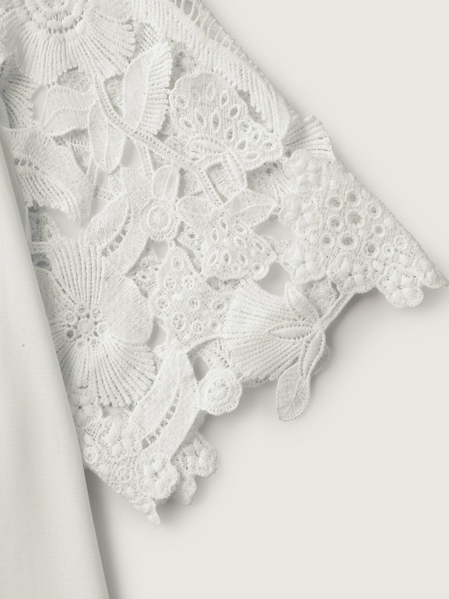 2065caf6-32d4-4cfd-825d-ce1b4a85d6ea