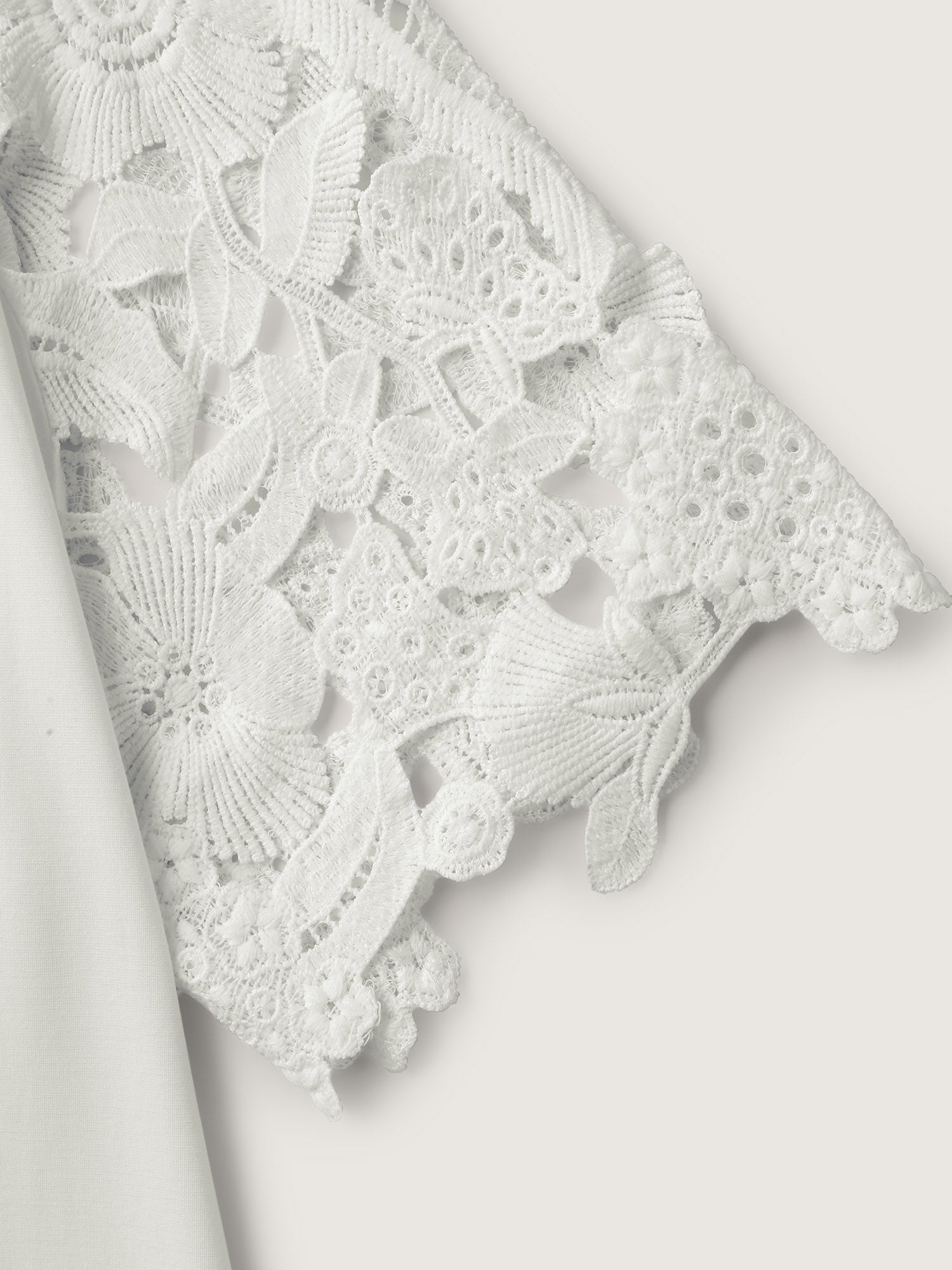 2065caf6-32d4-4cfd-825d-ce1b4a85d6ea