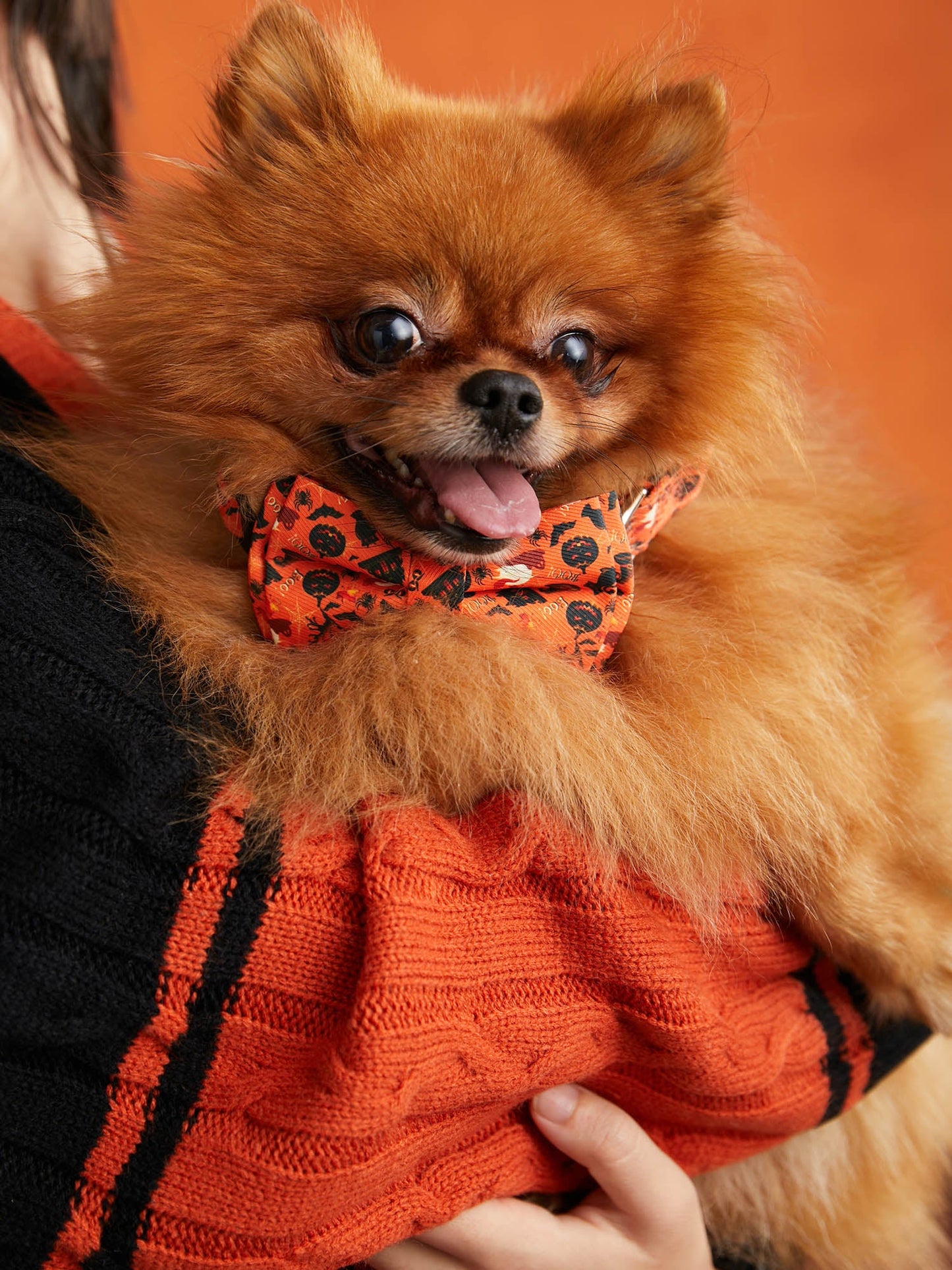 bb4a9b51-90e1-4f66-a516-85abfda53759