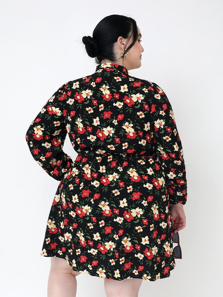 d6d54046-df2b-496a-9e33-e30b49f5b6b7