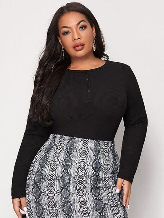 Basic Button Collar Ribbed Knit Top