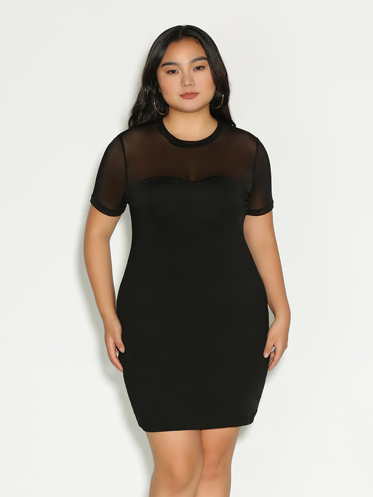 See Through Round Neck Dress