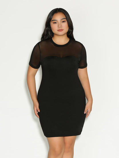 See Through Round Neck Dress