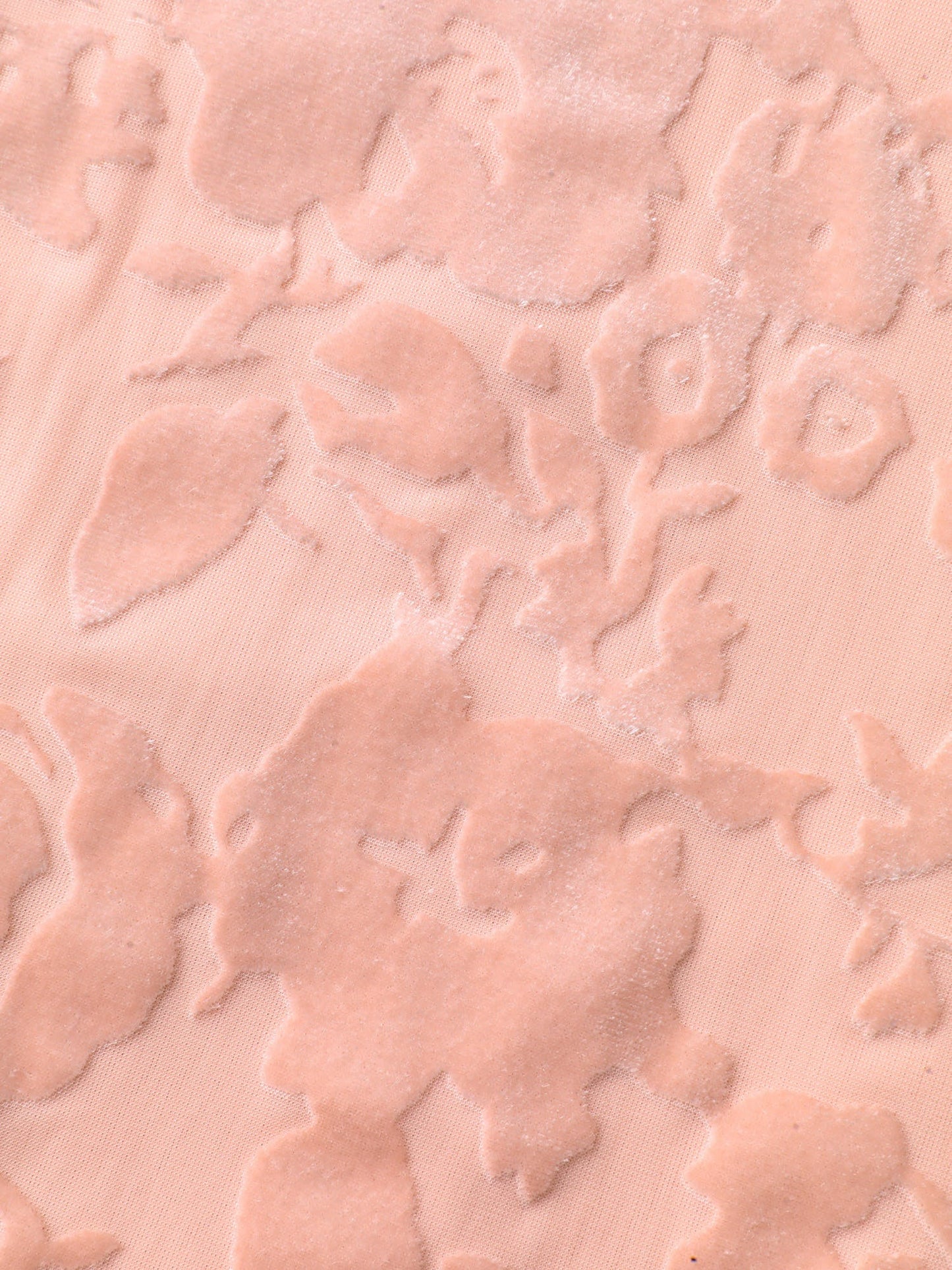 43c4a092-3085-480c-a8a2-b310e3911d42