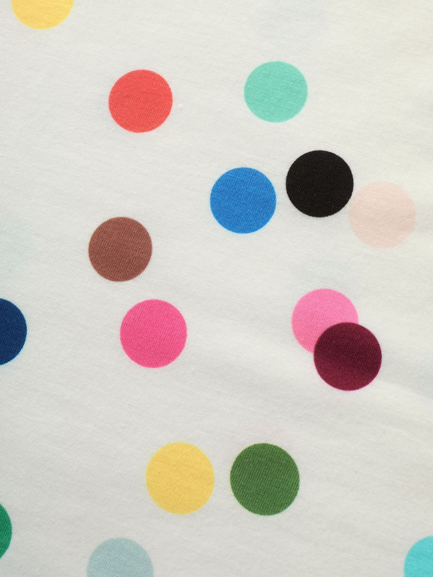 2582265d-e775-422b-a95c-de0d85fc5438