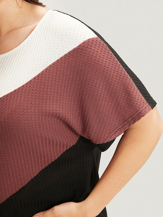 Colorblock Contrast Round Neck Dolman Sleeve Waffle Knit Tee