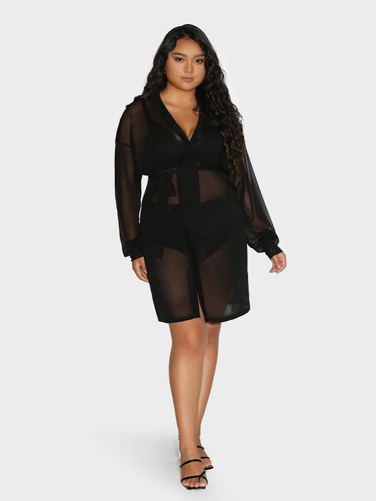 Mesh Long Sleeve Dress