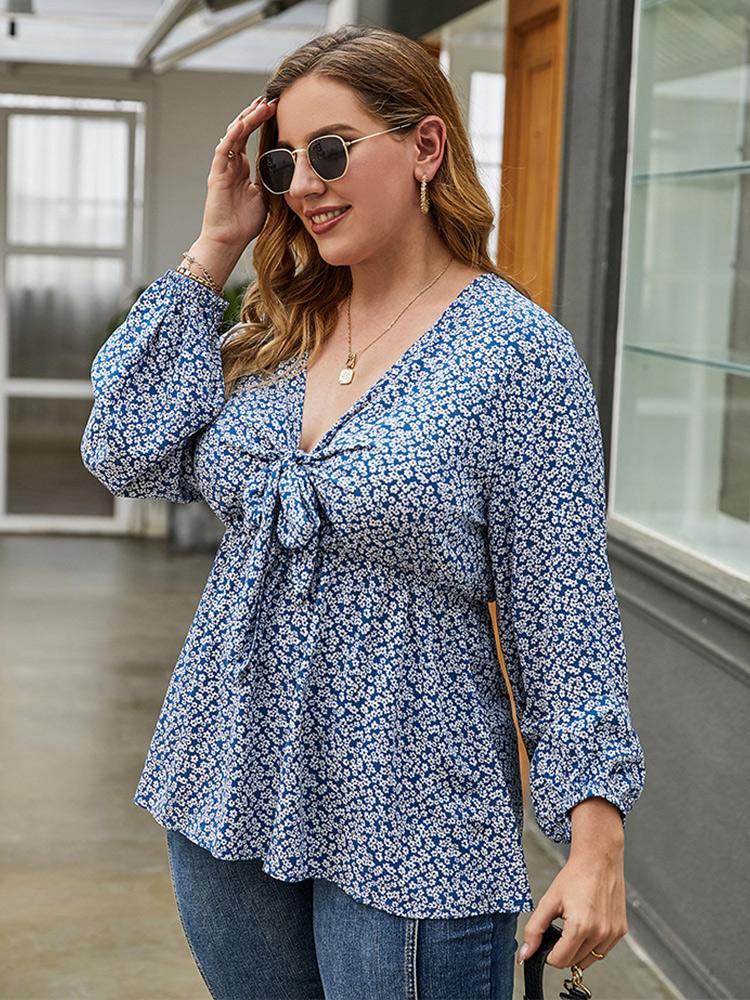 Ditsy Chiffon Lantern Sleeve Blouse