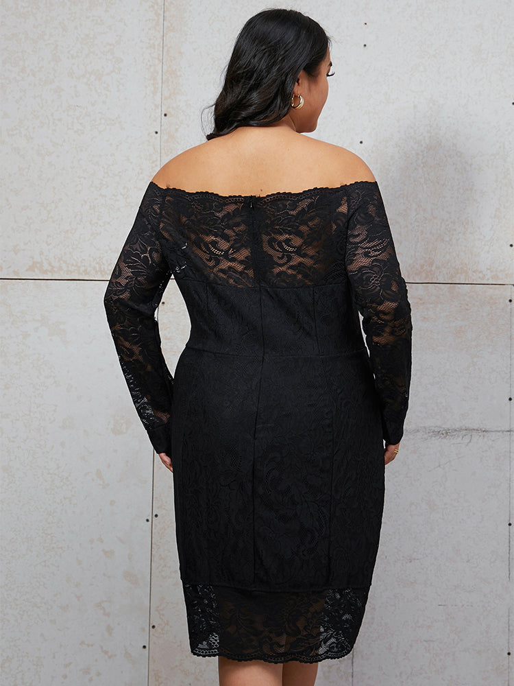 Off Shoulder Contrast Lace Dress