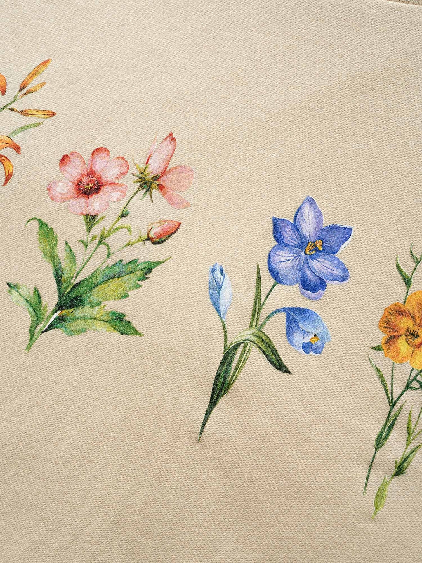 fe24cf36-17f2-482b-88e0-6fc9fc70680b