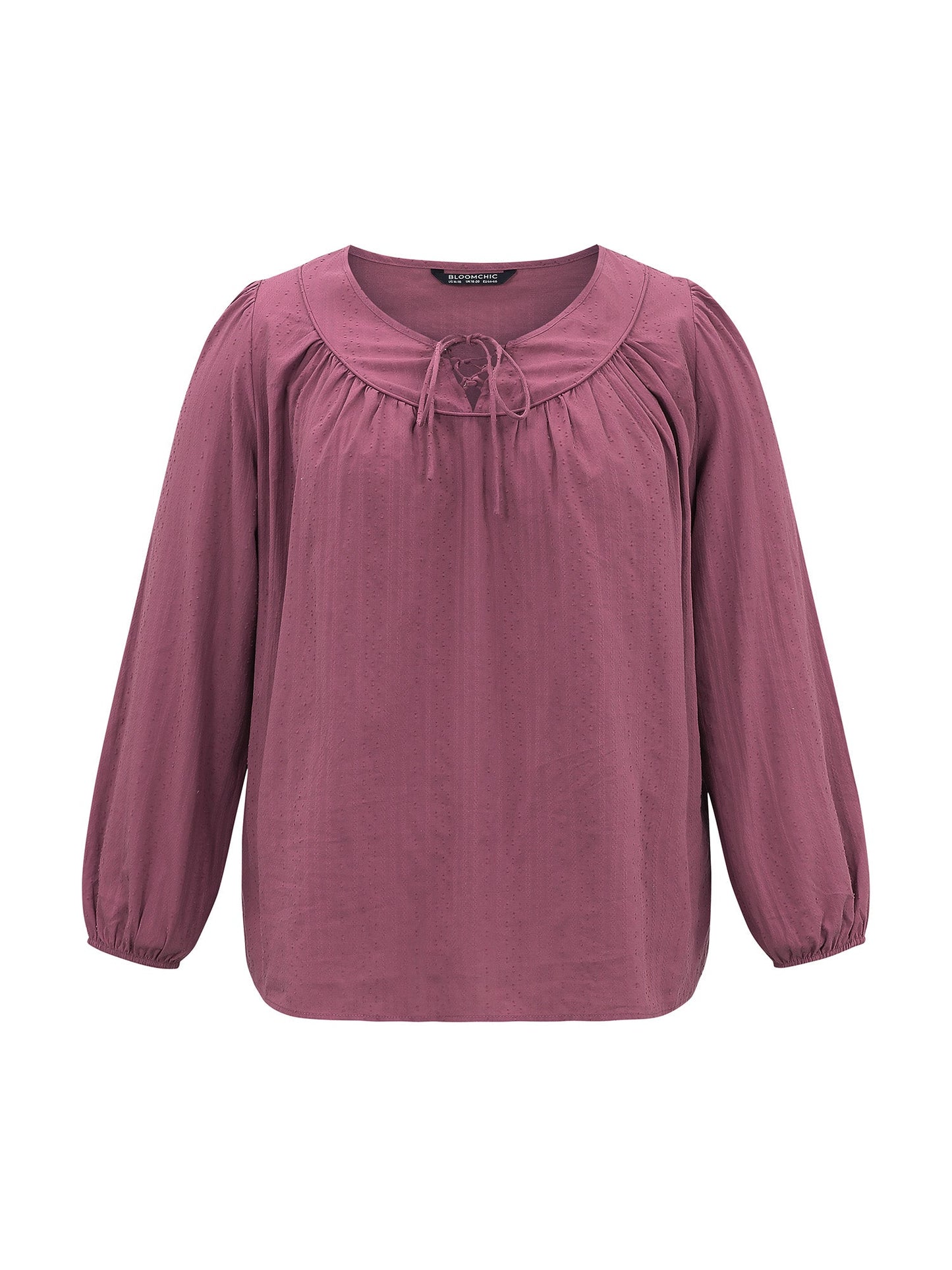 Solid Gathered Lantern Sleeve Tie Neck Blouse