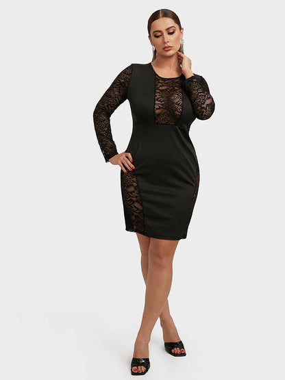 Lace Floral Sheer Skinny Dress