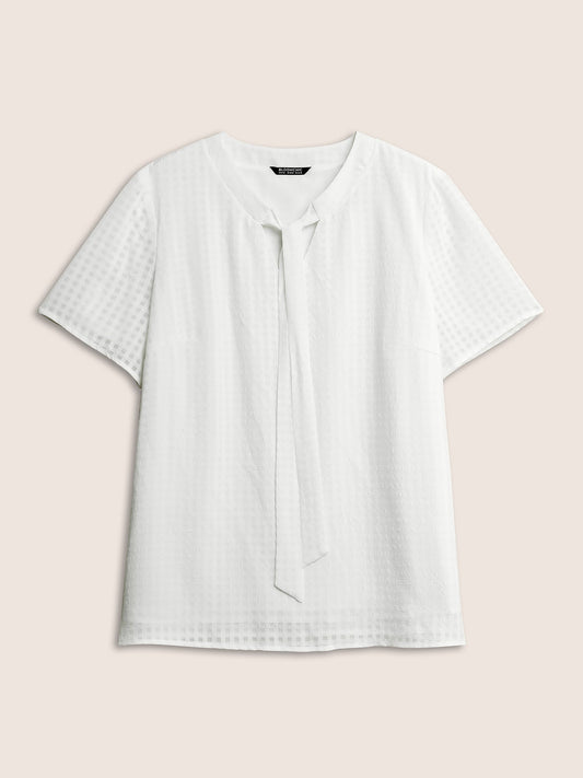 Solid Textured Chiffon Mesh Tie Neck Blouse