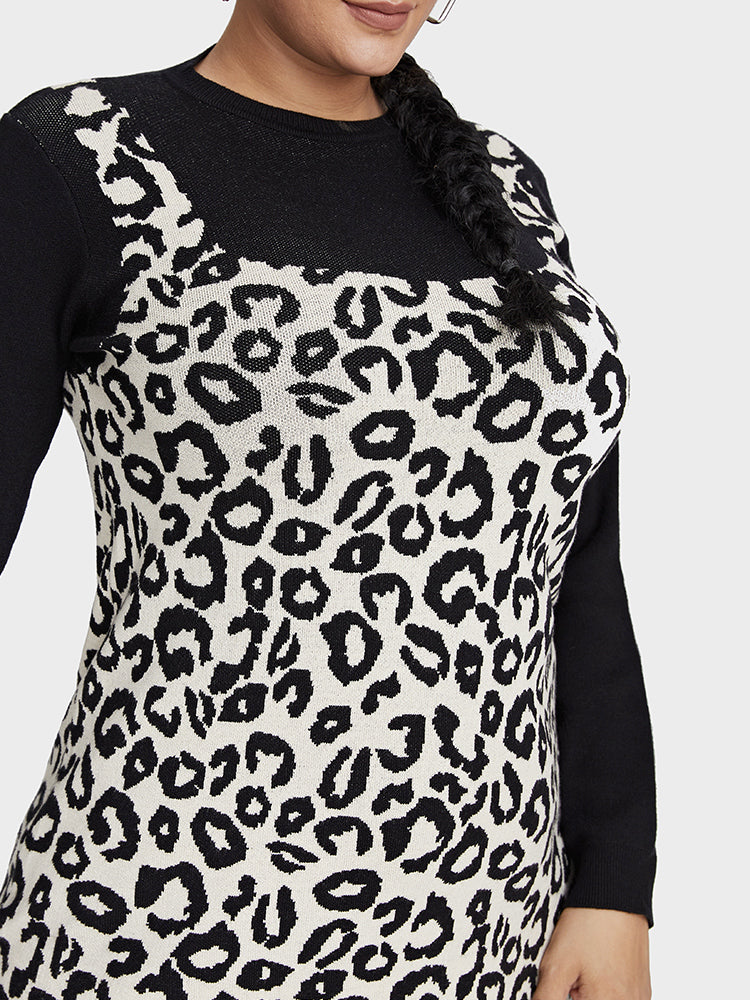 Leopard Pattern 2 in 1 Sweater Dress
