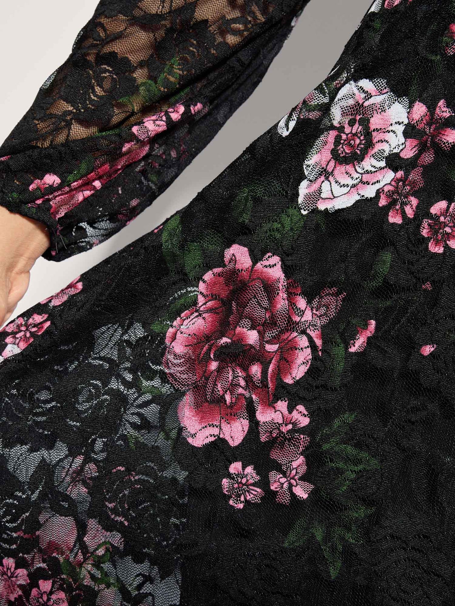 6a7abe16-8a67-44b6-9097-4b12591b244c