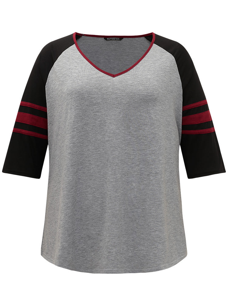 Colorblock Contrast Raglan Sleeve Contrast Trim T-shirt