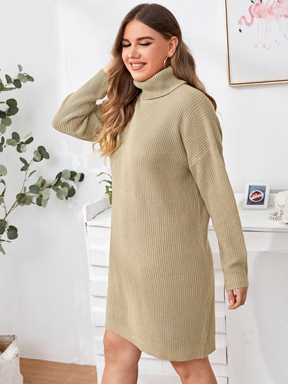 High Neck Sweater Dress Without Belted