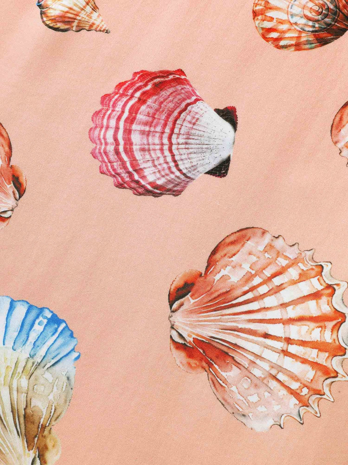 fb276d5b-8cf3-4a6c-92cb-85dd3aa1147f