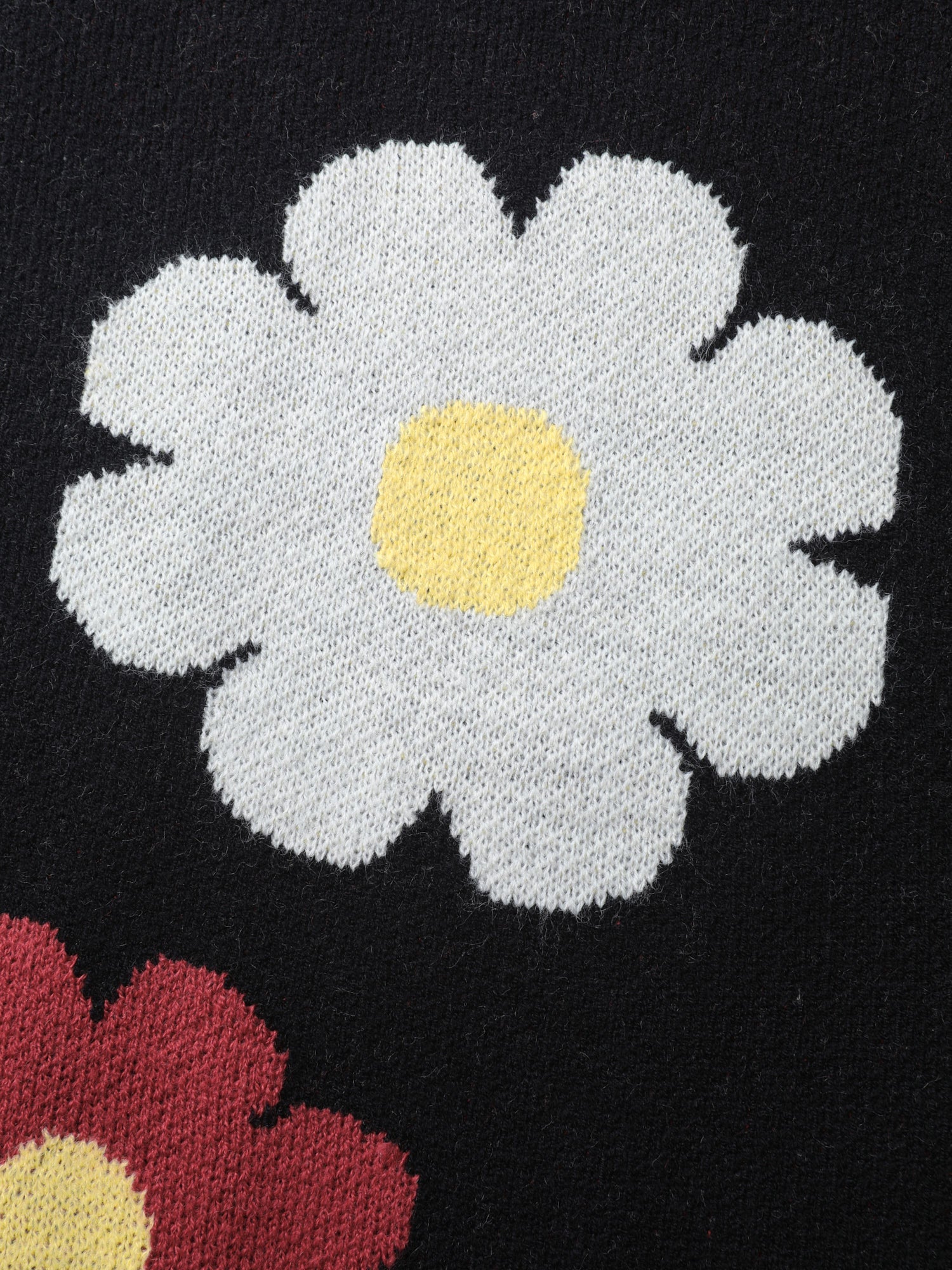 d77f41cf-d0e8-44ae-8bf3-ac3eaba19c0b