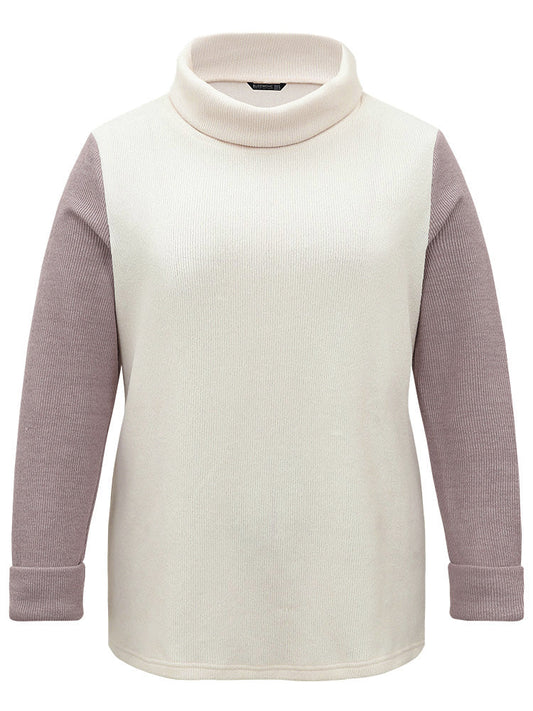 Two Tone Turtle Neck Patchwork Sweatshirt