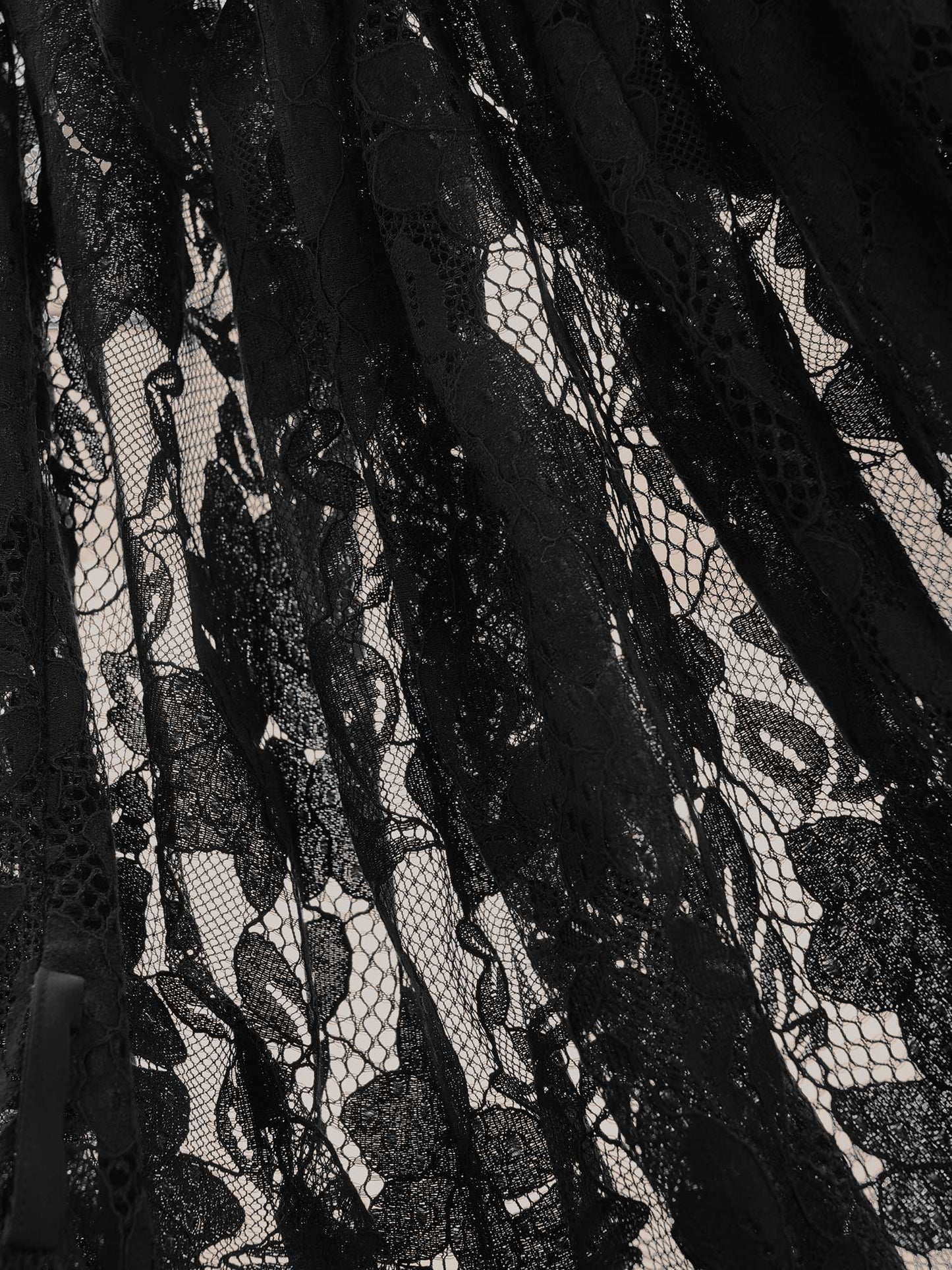 20f24772-12a6-4148-88cf-506fd8f47067