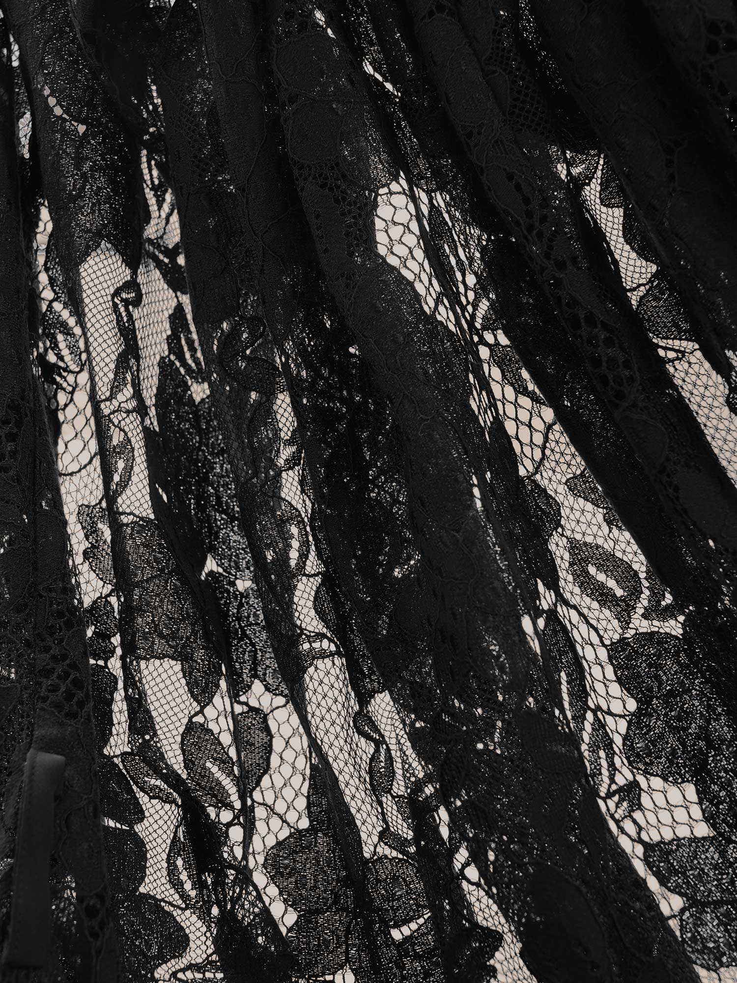 20f24772-12a6-4148-88cf-506fd8f47067