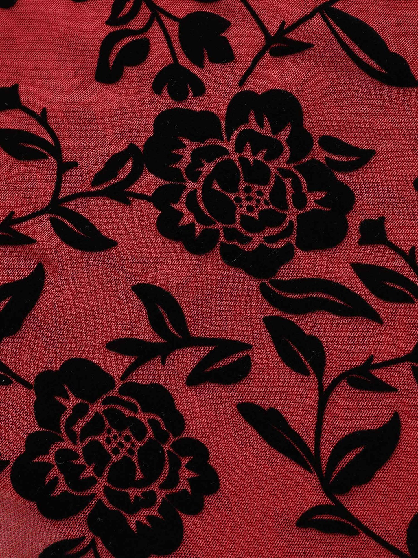 e5e00e8c-e684-4d83-b5e9-1b1eb64ed88b