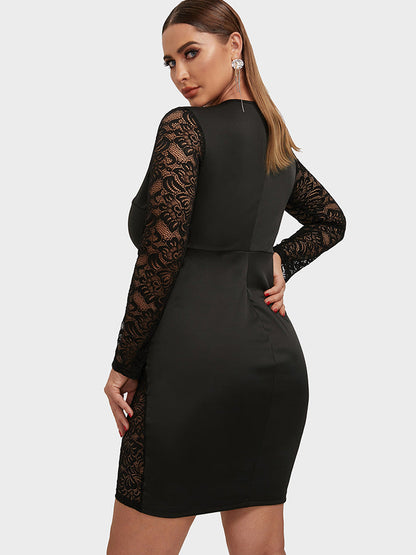 Lace Floral Sheer Skinny Dress