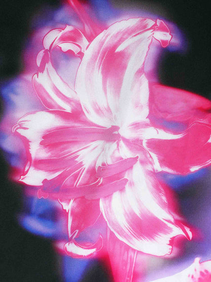 2cc39c11-ce8b-4cae-a815-5f7e8f482831