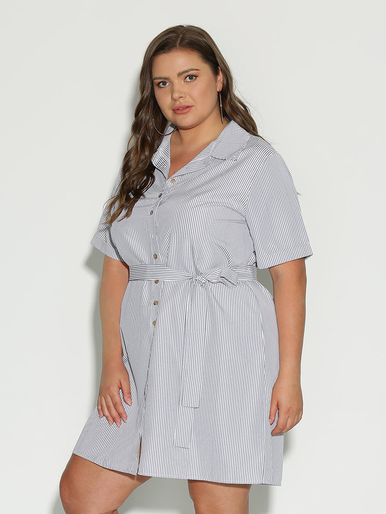 Button Collar Lapel Dress