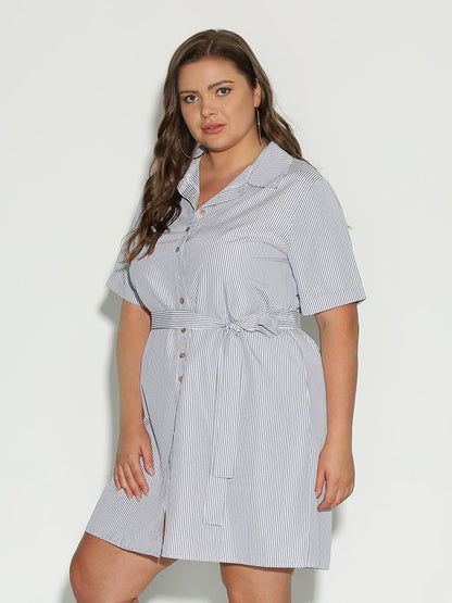 Button Collar Lapel Dress