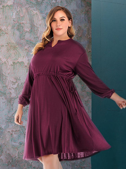 Solid Color V-neck Long Sleeve Midi Dress